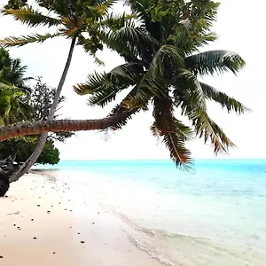 Couette-café Chez Vaiana, Parea